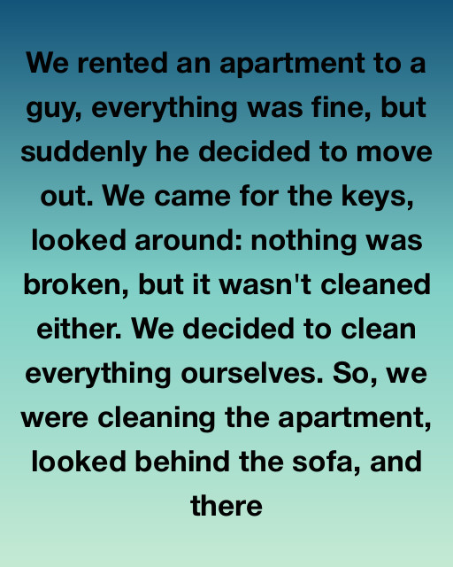 The Hidden Envelope Behind The Sofa Changed Everything