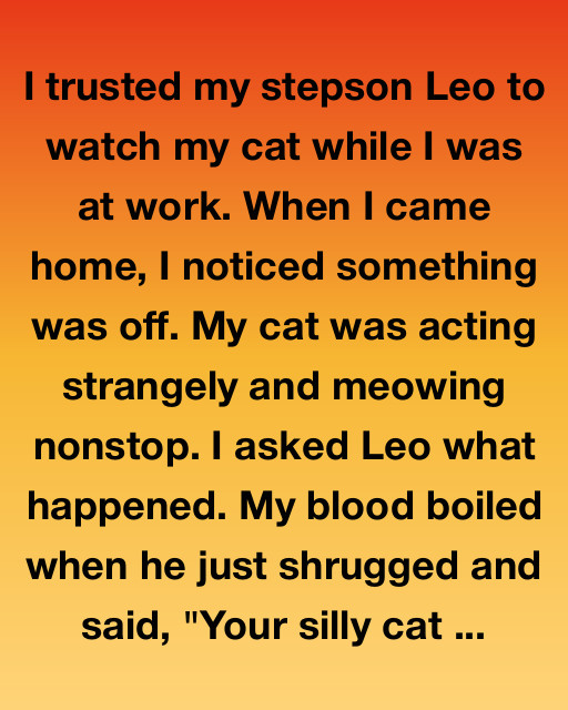 I Trusted My Stepson With My Cat. What Happened Still Haunts Me.