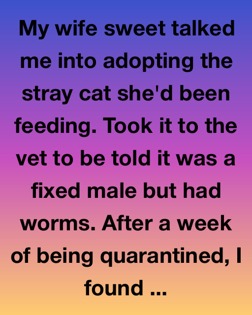 The Cat Who Fixed Everything