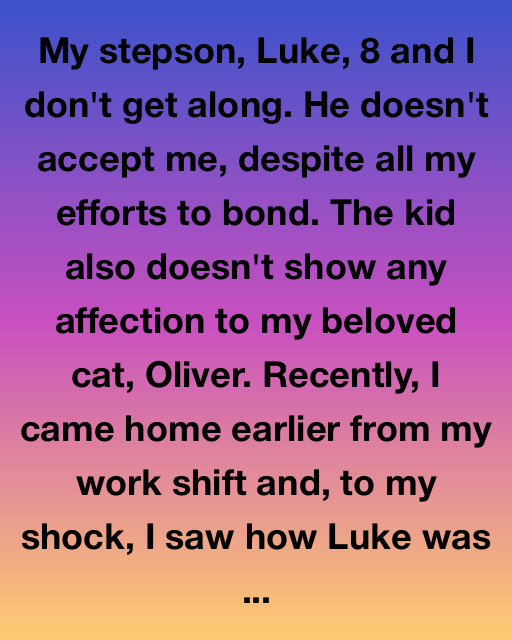 My Stepson Hated Me… Until My Cat Did This