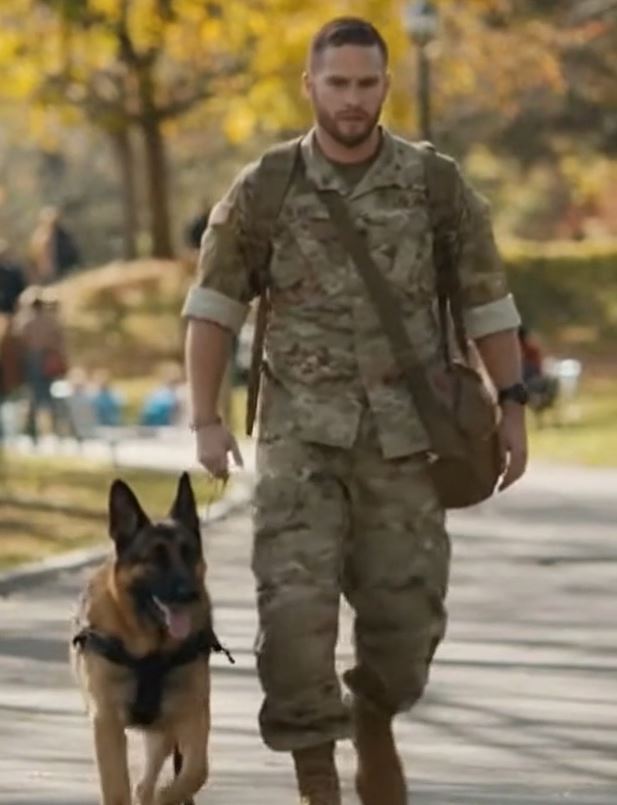 A Soldier Collapsed On The Street While His German Shepherd Blocked Everyone From Helping — But When The Truth Came Out, The Whole Park Stood Still