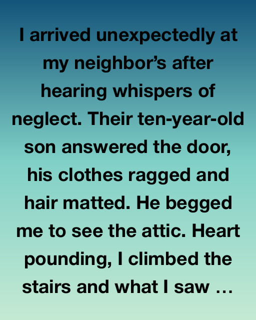 Mystery in the Attic