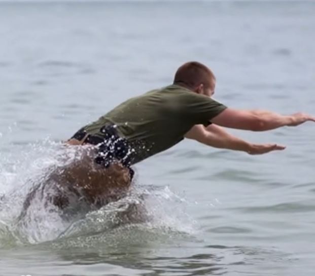 A 400-Pound Black Bear Was Sinking In The Ocean As Everyone Watched — Until One Soldier Jumped Into The Ocean And Refused To Let It End That Way