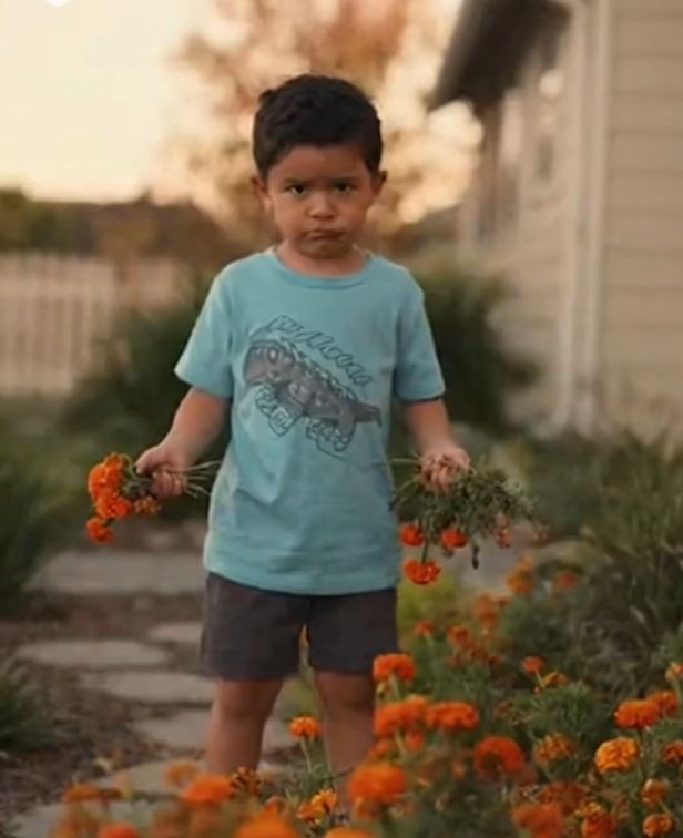 The Kid Next Door Keeps Destroying My Flowers—But His Mom Says I’m “Too Sensitive”