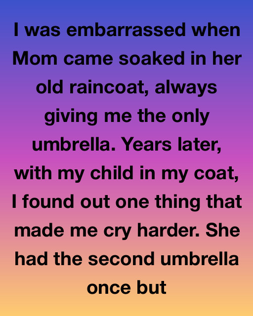 The Raincoat She Wore For Me