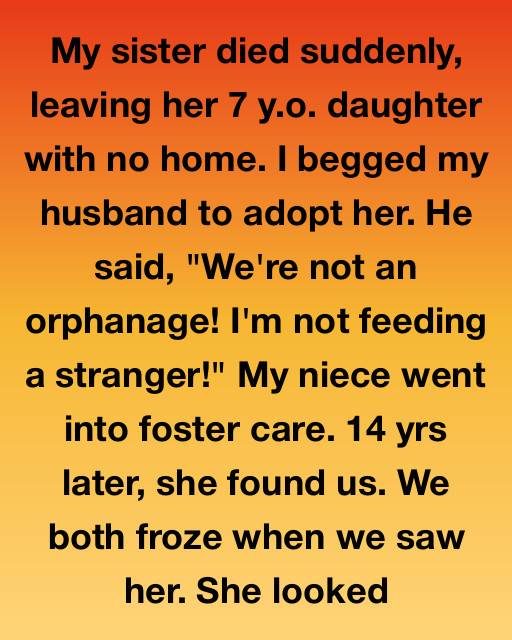 The Niece We Left Behind