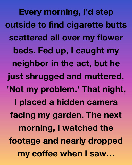 The Unexpected Garden Mystery