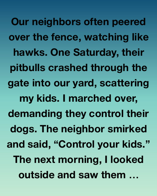 The Fence That Bound Us