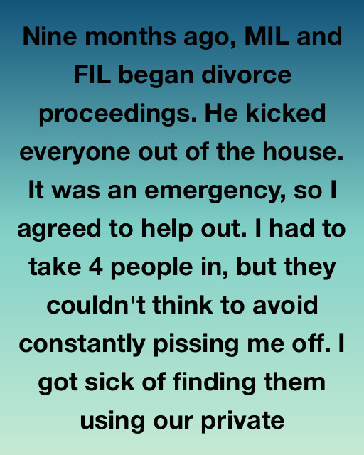 “Nine Months of Chaos: When My Generosity Backfired—Until It Didn’t”