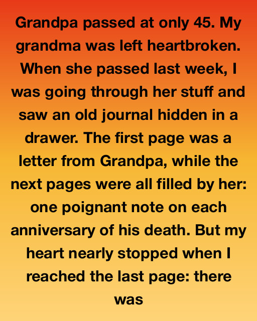 The Map Of A Lifetime