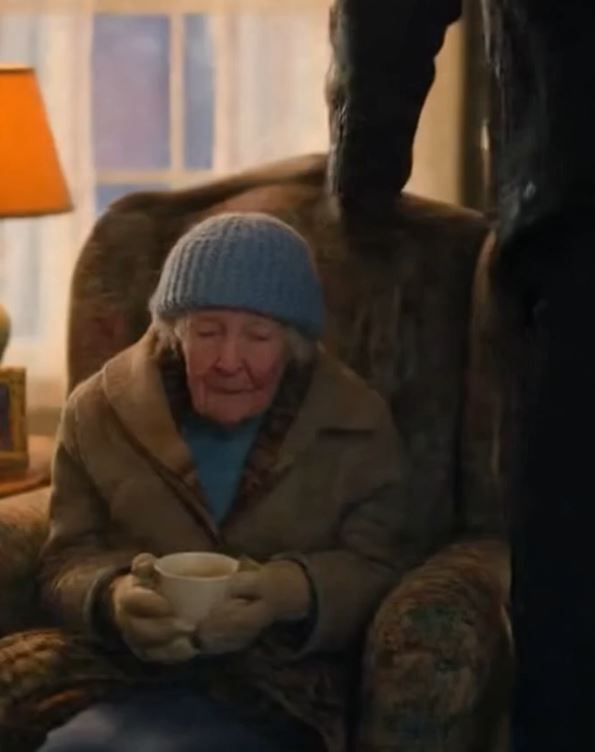 The Biker Carried My 91-Year-Old Mother Through A Blizzard After Her Own Family Abandoned Her