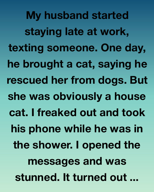 The Cat He Didn’t Rescue