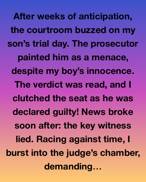 A Mother’s Unyielding Quest for Justice