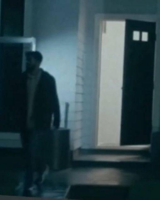 The Night My Cat Disappeared Revealed A Different Kind Of Betrayal