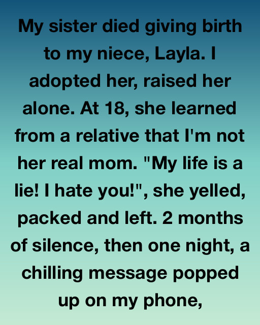She Said I Lied About Everything—Until The Night She Needed Me Most