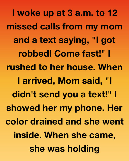 The Shadow In The Attic