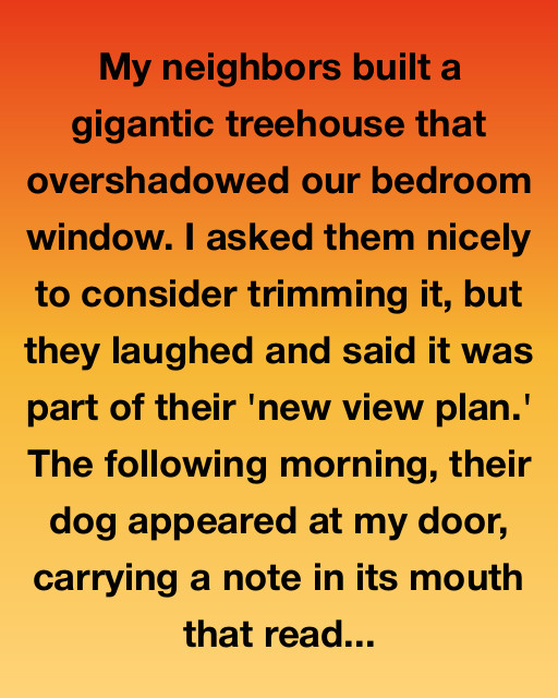 The Treehouse Tale: A Lesson in Friendship and Understanding