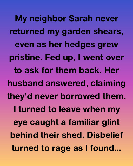 The Tale of the Missing Shears