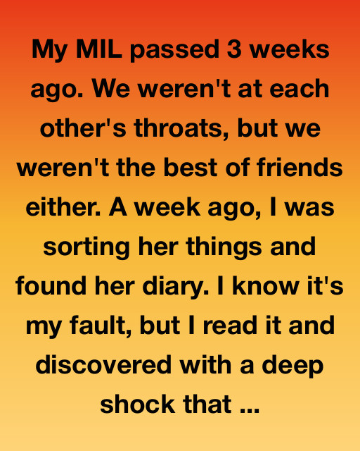 The Diary I Wasn’t Supposed To Read