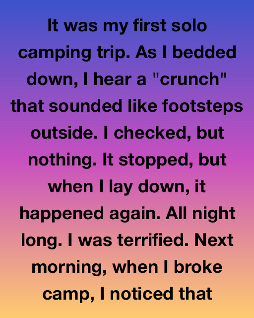 The Quiet Watcher Of The Woods