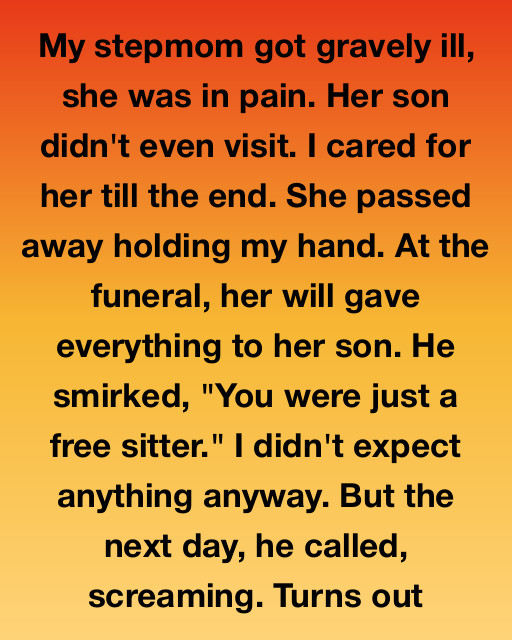 She Left Him Everything—But Gave Me One Final Surprise