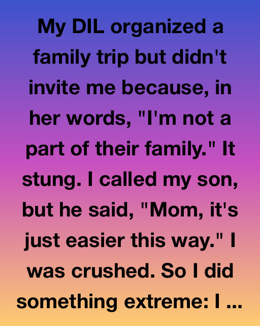 She Said I Wasn’t Family, So I Showed Her What Family Really Means