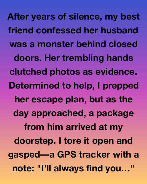 A Web of Shadows and Light