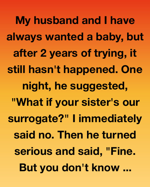 My Sister, Our Baby, And The Truth That Changed Everything