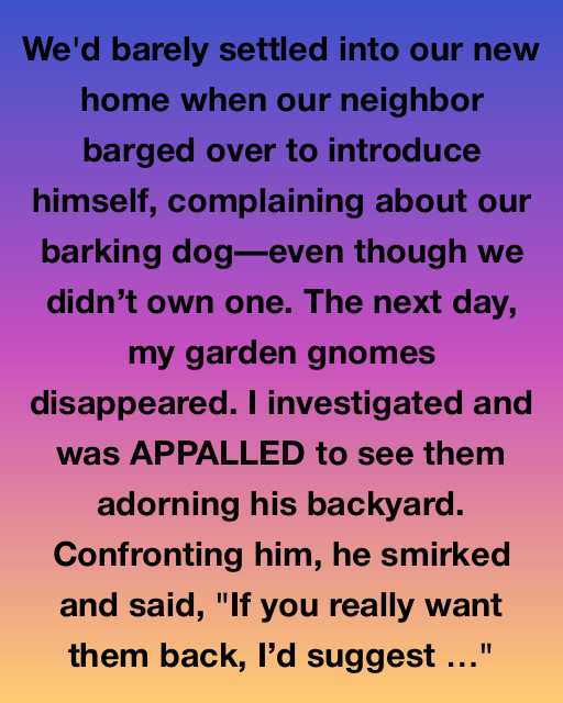 The Mystery Of The Missing Gnomes