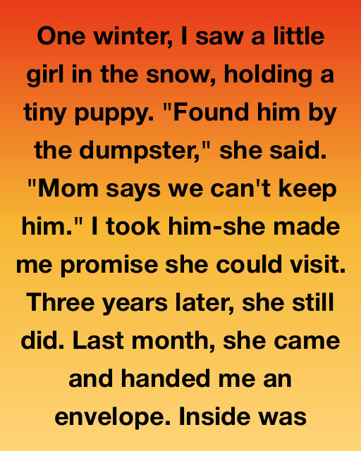 The Promise Sealed In Snow