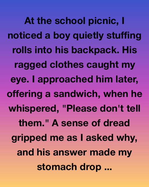 The Secret of the School Picnic