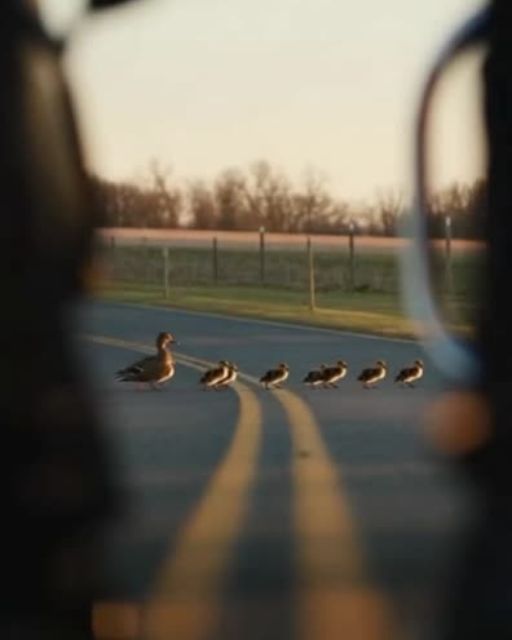 Biker Group Blocks Traffic—What They’re Protecting Makes Drivers Cry On The Spot