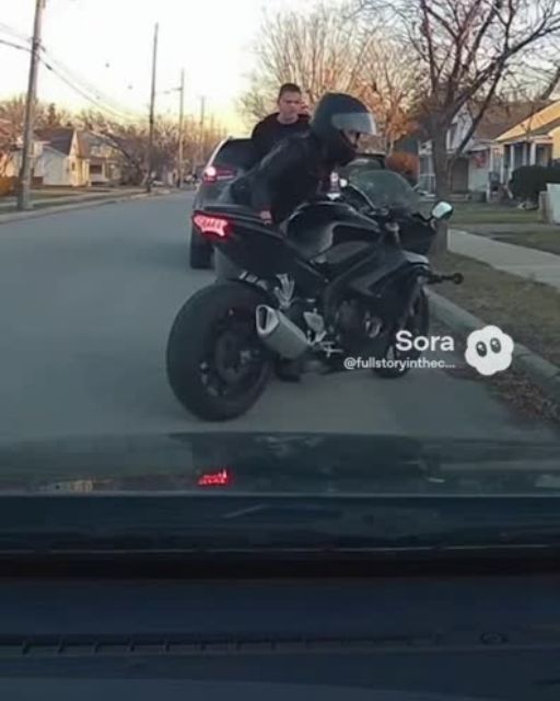 Biker Woman Stops Car From Kidnapping Dog—Dashcam Footage Goes Viral For One Unbelievable Reason