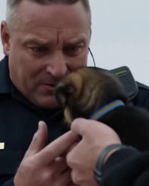 Biker Gang Surrounds Police Car—The Reason Makes The Officer Break Down