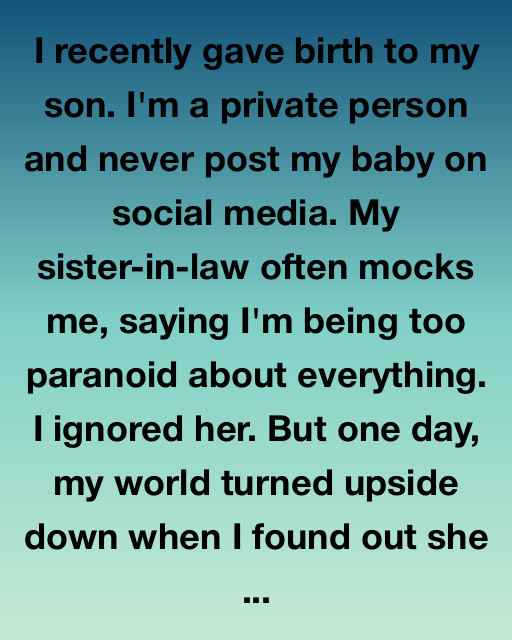 She Posted My Baby Without Permission — And Karma Came For Her