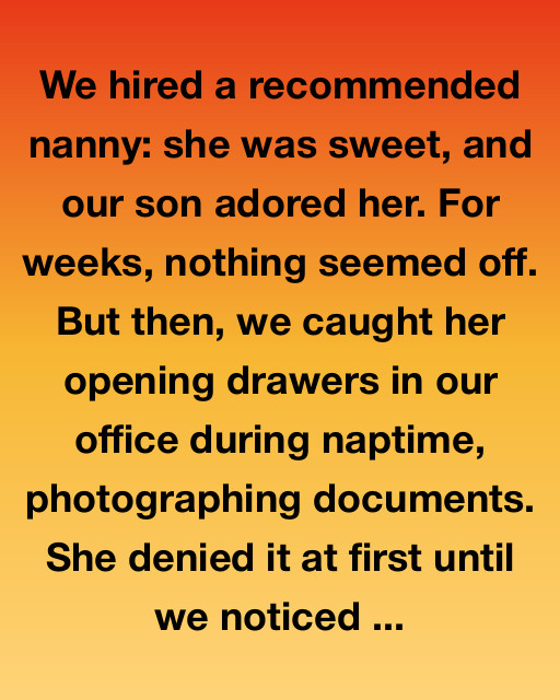 The Nanny We Never Saw Coming