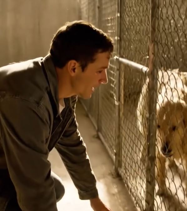 He Waited At The Door For Three Weeks—Then The Van Returned