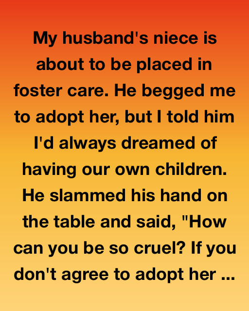 My Husband’s Niece Or Our Future? The Choice That Changed Everything