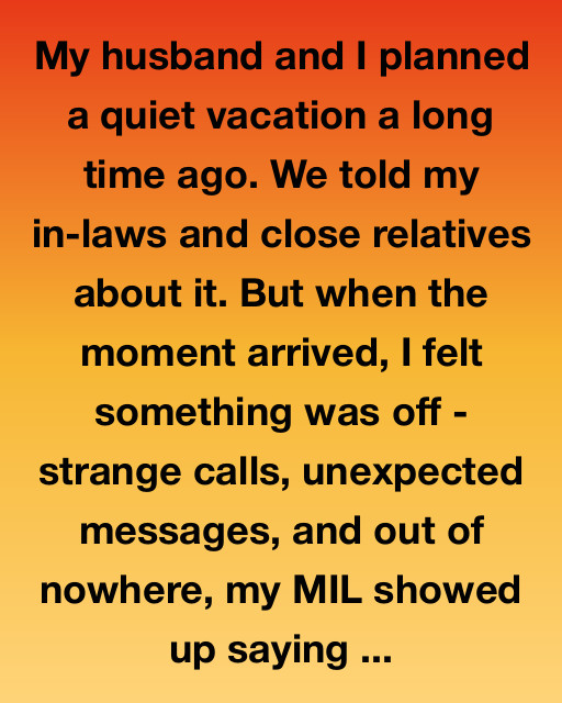 A Quiet Vacation That Wasn’t Quiet At All