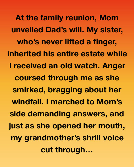 The Mystery of the Old Watch