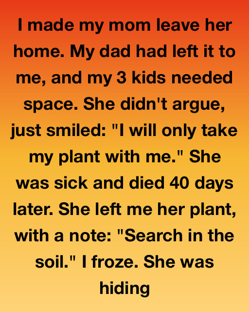 The Plant She Left Behind