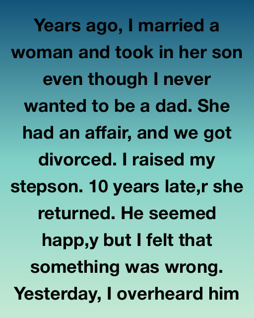 I Never Wanted to Be a Dad, But I Raised Him Alone—Then His Birth Mother Came Back with a Lie