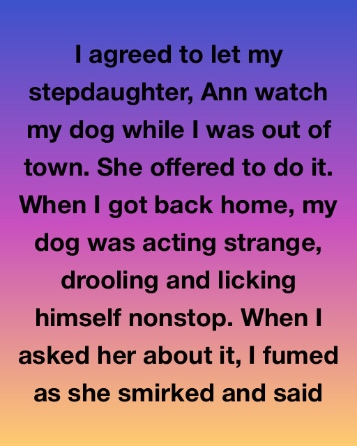 She Thought My Dog Was Just A Mutt—she Didn’t Know Who Was Watching