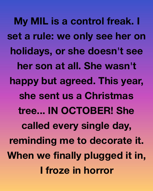 The Christmas Tree That Lit Up the Truth