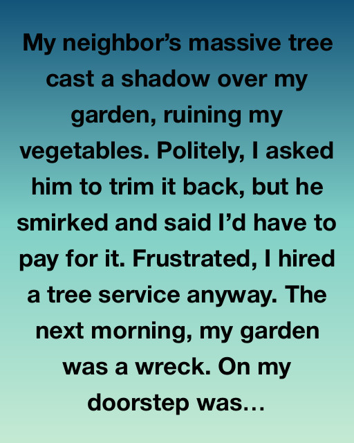 A Lesson in Patience and Understanding