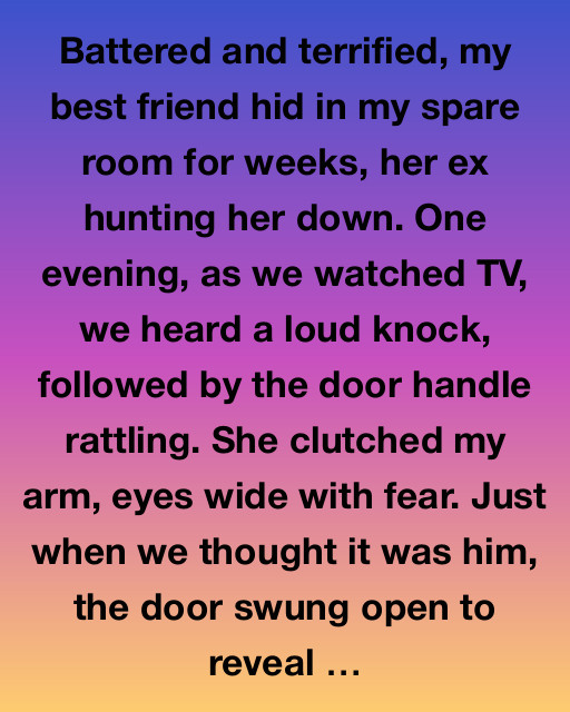 A Sanctuary of Friendship