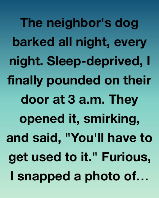 The Midnight Bark Chronicles