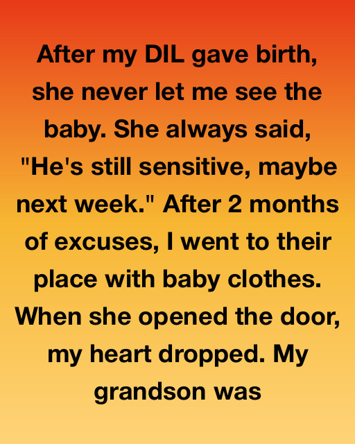 After My DIL Gave Birth, She Never Let Me See The Baby