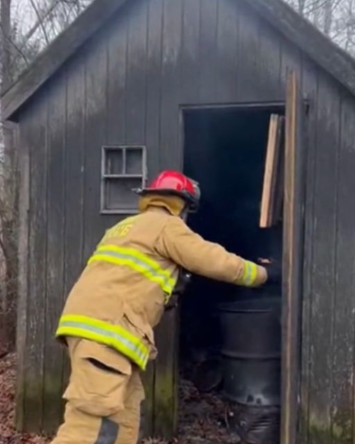 They Called Us For Smoke In A Shedโbut The Real Horror Was What Was Left Behind