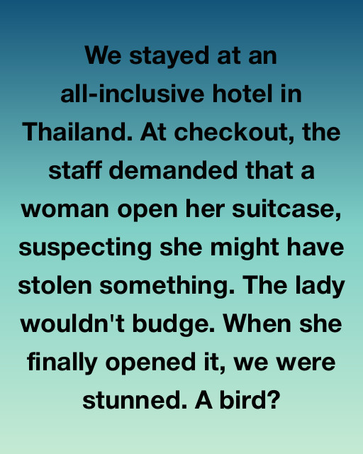 The Unexpected Stowaway